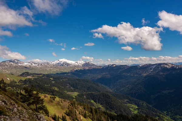 Valle verde di montagna ricoperta di foresta — Foto Stock