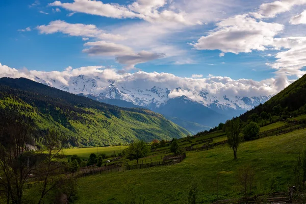 Campagna sulle verdi pendici della valle di montagna — Foto Stock