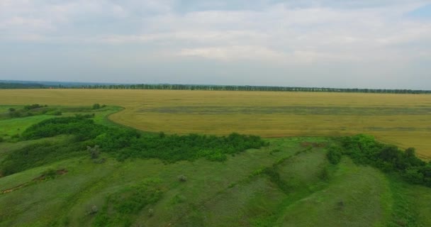 Панорама Обширных Зеленых Полей Небольших Деревень Сельской Местности Украины Вид — стоковое видео