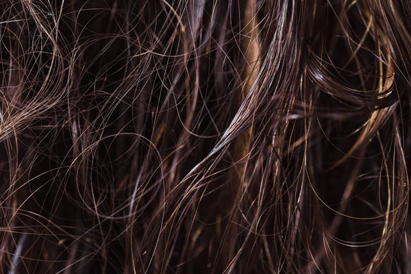 Texture tangled wet hair — Stock Photo, Image