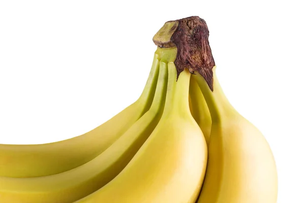 Banda banánů na bílém pozadí — Stock fotografie