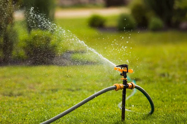 Sprinkle on a green lawn — Stock Photo, Image