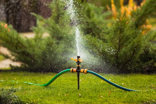 Sprinkle on a green lawn — Stock Photo, Image