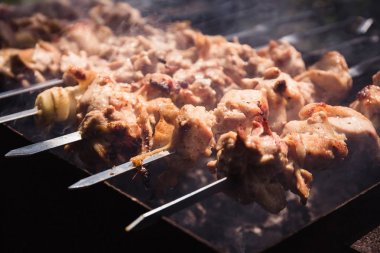 Marine edilmiş tavuk kebap. Ateş üzerinde pişirme et. Kapat
