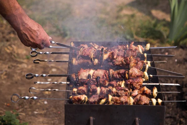 Cooking Meat Fire Shish Kebab Grill Garden Close — Stock Photo, Image