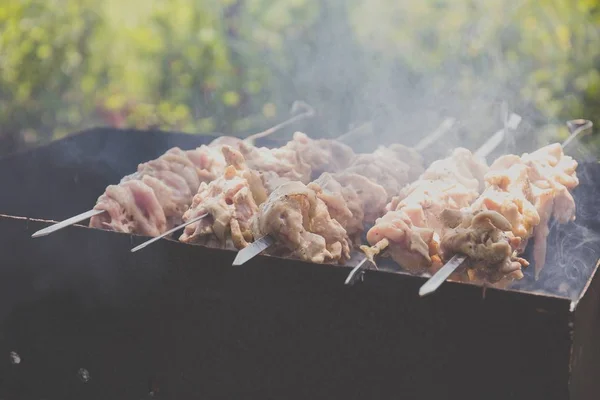 Bbq Grilled Chicken Skewers Kabob — Stock Photo, Image