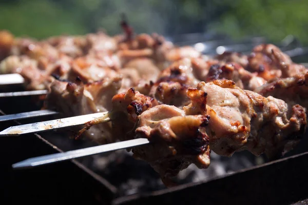 Marinated Chicken Kabobs Cooking Meat Fire Close — Stock Photo, Image