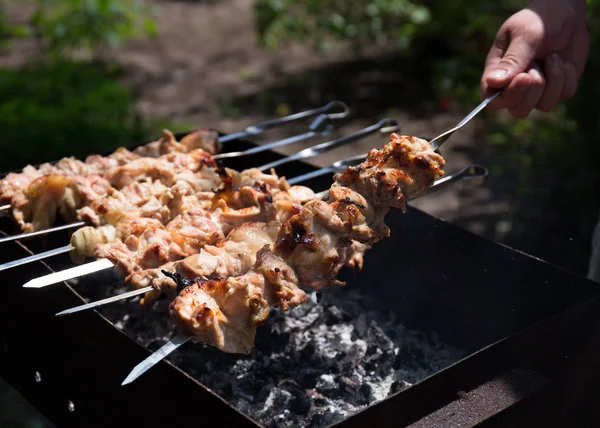 Hand Holding Meat Skewer Cooking Shish Kebab Fire — Stock Photo, Image