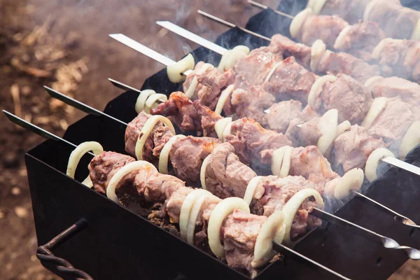 Råa Shish Kebab Marinerad Grillad — Stockfoto