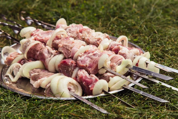 Råa Shish Kebab Marinad Kött Uppträdda Spett Liggande Tallrik Gräset — Stockfoto