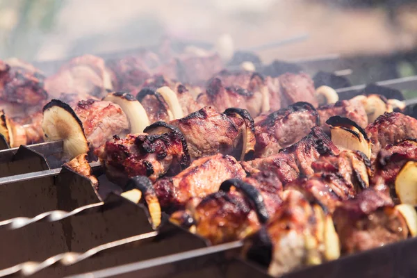 Cooking Meat Fire Shish Kebab Grill Close — Stock Photo, Image