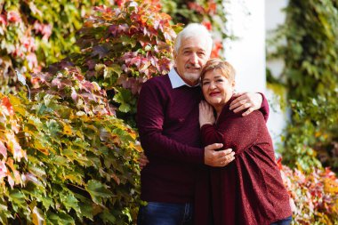 Sonbahar parkında birbirine aşık yaşlı bir çift yürüyor. Yaşlı insanlar birbirlerine sarılırlar.
