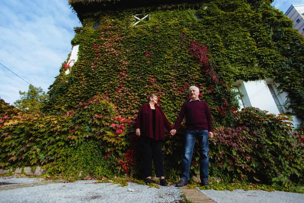 Elderly Couple Love Walking Autumn Park Stock Photo