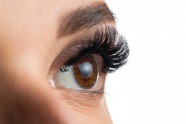 Portrait of a beautiful woman with eyelashes and eyebrow correction. Eye close up. clipart
