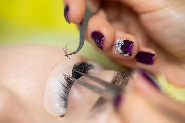 Master Builds Large Colored Eyelashes Client Preparation Beauty Photography Creating — Stock Photo, Image