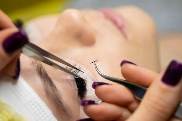 Der Meister Baut Dem Kunden Große Farbige Wimpern Auf Vorbereitung — Stockfoto