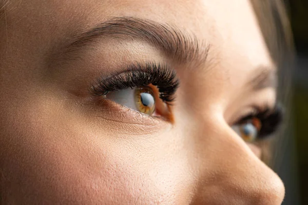 Portrait Beautiful Woman Eyelashes Eyebrow Correction Eye Close — Stock Photo, Image