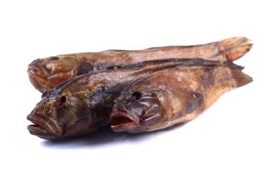 Beyaz arka planda üç denizci Goby (izole edilmiş))