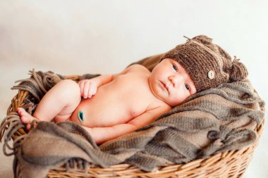 Kahverengi ekoseli bir sepetin içinde yeni doğmuş bir bebek.
