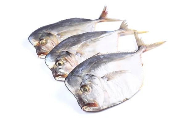 Tres Peces Vomero Sobre Fondo Blanco Aislado Cerca —  Fotos de Stock