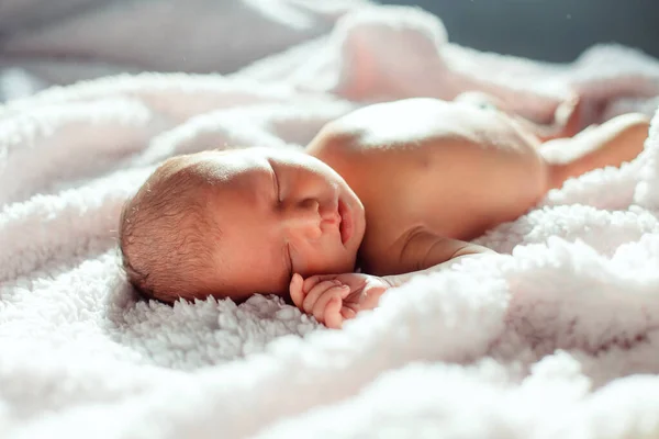 新生児は バックライトで白い背景で寝ています — ストック写真