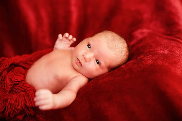 赤い背景の新生児 — ストック写真