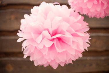 Ahşap arka planda büyük pembe kağıt ponpon.