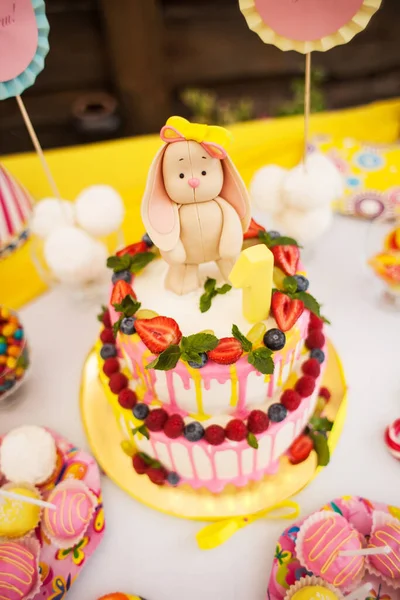 这个两层高的蛋糕是给野兔宝宝过生日用的 — 图库照片