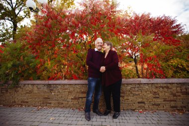 Sonbahar parkında birbirine aşık yaşlı bir çift yürüyor. Yaşlı insanlar birbirlerine sarılırlar.