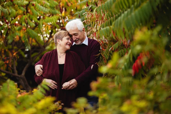 Pareja Ancianos Enamorados Caminando Parque Otoño Las Personas Mayores Abrazan —  Fotos de Stock