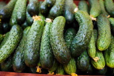 Yeşil salatalıklar mağazada yatıyor. Arkaplan