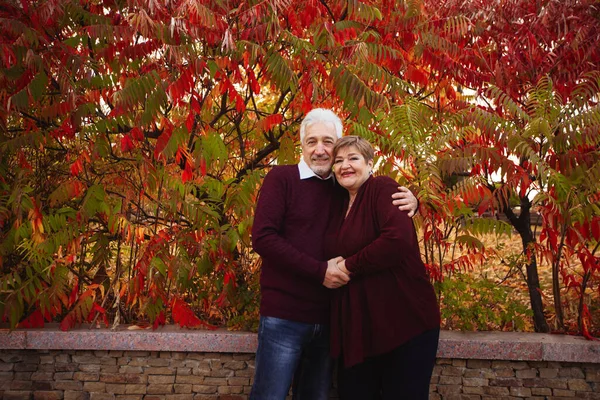 Pareja Ancianos Enamorados Caminando Parque Otoño Las Personas Mayores Abrazan —  Fotos de Stock