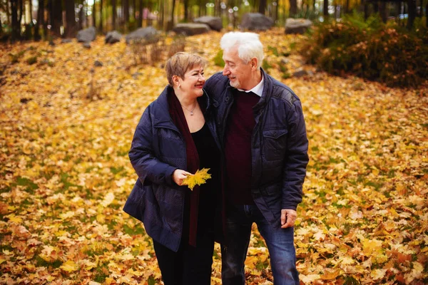 Pareja Ancianos Enamorados Caminando Parque Otoño Las Personas Mayores Abrazan —  Fotos de Stock