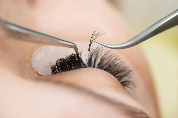 Der Meister Baut Dem Kunden Große Farbige Wimpern Auf Vorbereitung — Stockfoto