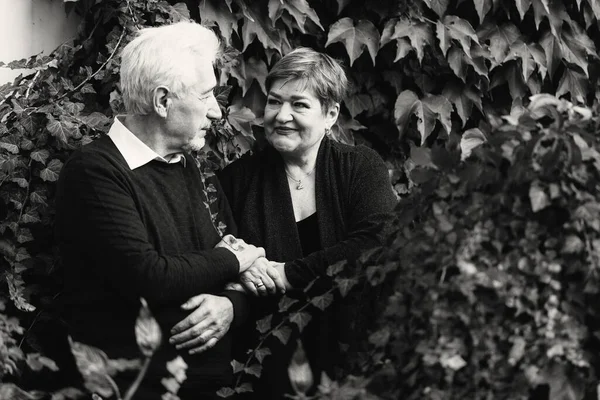 Pareja Mayor Enamorada Caminando Parque Otoñal Foto Blanco Negro —  Fotos de Stock