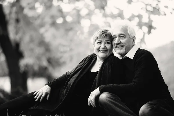 Elderly couple in love walking in the autumn park. Old people sit on the yellowed fallen foliage.Black and white photo