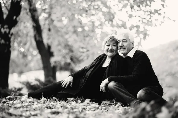 Pareja Ancianos Enamorados Caminando Parque Otoño Los Ancianos Sientan Follaje —  Fotos de Stock