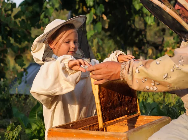 Little boy beekeeper works on an apiary at hive — Stock Photo, Image