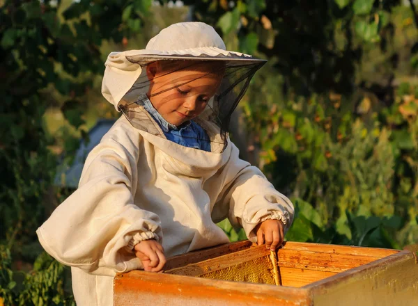 Little boy beekeeper works on an apiary at hive — Stock Photo, Image