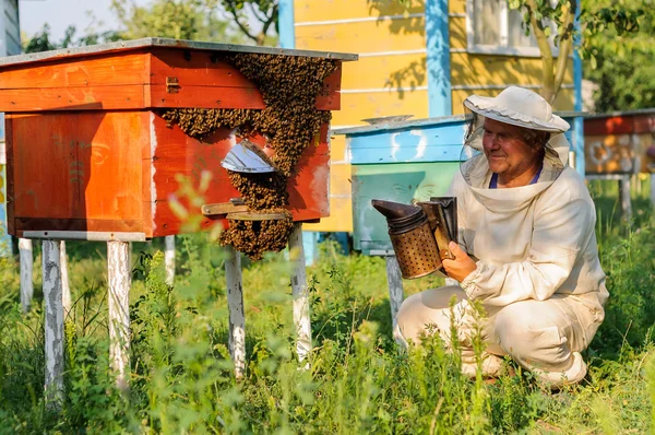 L'apicoltore ispeziona l'alveare delle api — Foto Stock