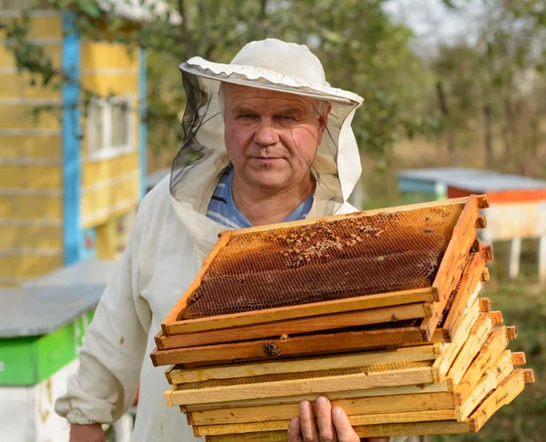 De imker werkt met bijen en bijenkorven op de bijenstal.. — Stockfoto
