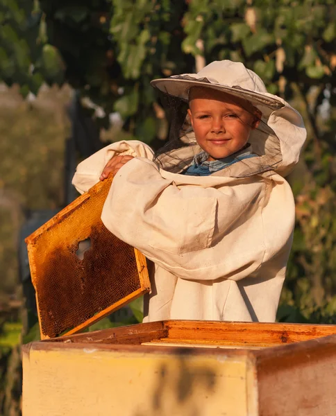 Kleiner Imkerjunge arbeitet am Bienenstock — Stockfoto