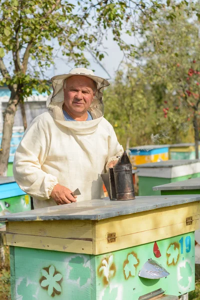 Colmenas apicultor en el colmenar cerca golpes fumador para abejas . —  Fotos de Stock