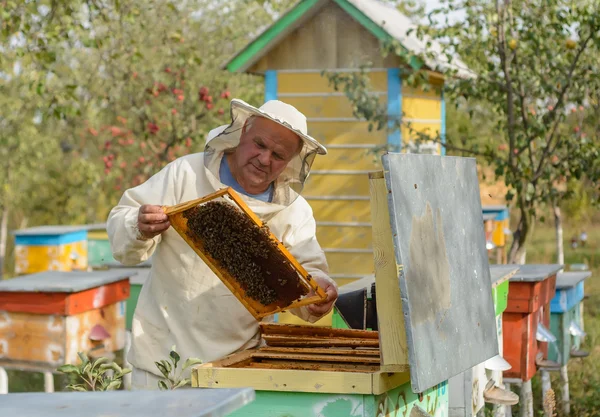 De imker werkt met bijen en bijenkorven op de bijenstal.. — Stockfoto