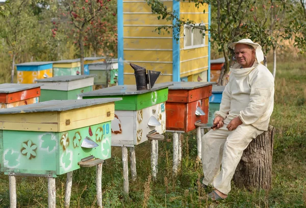 Sedí na stromě poblíž úlu včelaře — Stock fotografie