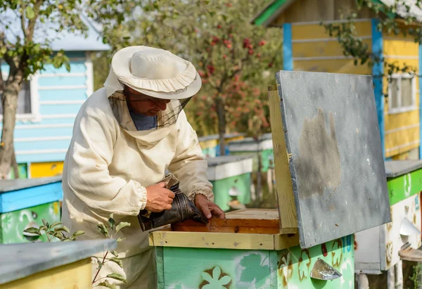 Apicultor está trabalhando com abelhas e colmeias no apiário. — Fotografia de Stock