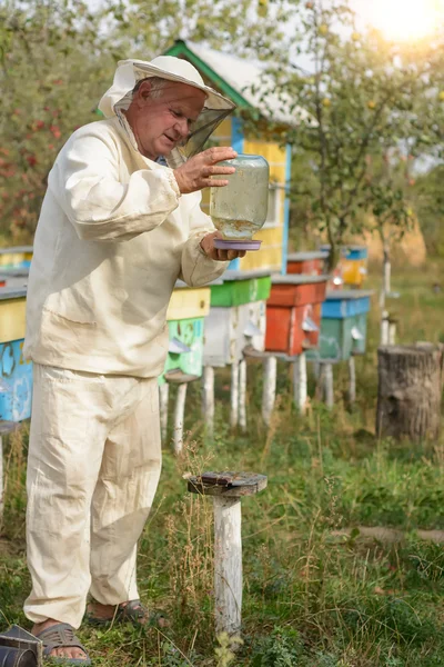 Včely včelařství klade na misku s vodou pro včely — Stock fotografie