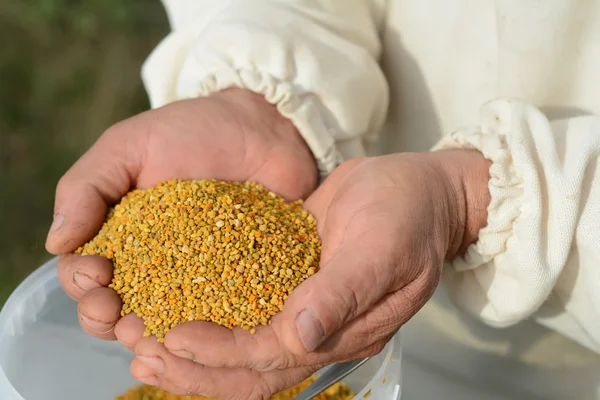 Arı polen avuç. Vitaminler ve mineraller.