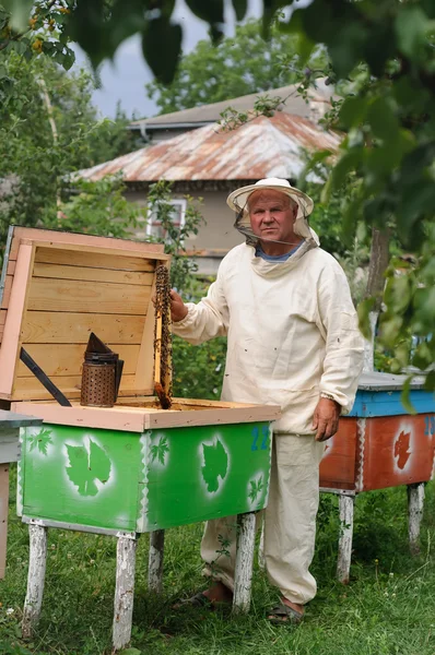 Apicultor está trabajando con abejas y colmenas en el colmenar —  Fotos de Stock