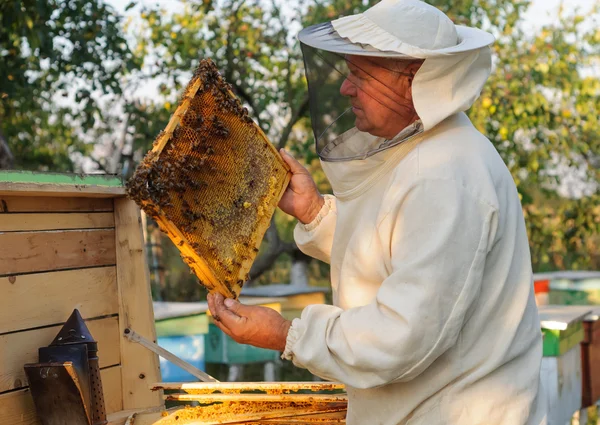 Včelař pracuje s včelami a úly na včelíně. — Stock fotografie